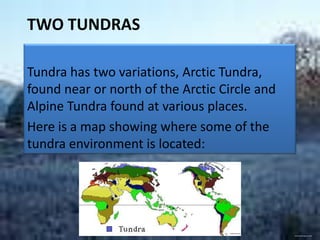 TWO TUNDRAS

Tundra has two variations, Arctic Tundra,
found near or north of the Arctic Circle and
Alpine Tundra found at various places.
Here is a map showing where some of the
tundra environment is located:




                                   Studyzone.org
                                                   www.freeimages.co.ukc
 
