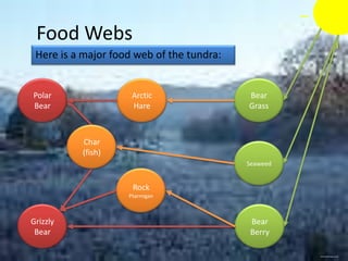 Food Webs
 Here is a major food web of the tundra:


Polar                Arctic                Bear
Bear                 Hare                  Grass



          Char
          (fish)
                                           Seaweed


                     Rock
                    Ptarmigan



Grizzly                                     Bear
 Bear                                       Berry

                                                     www.freeimages.co.uk
 