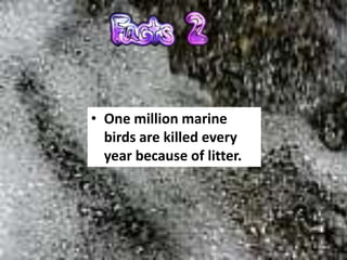 • One million marine
  birds are killed every
  year because of litter.
 