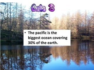 • The pacific is the
  biggest ocean covering
  30% of the earth.
 