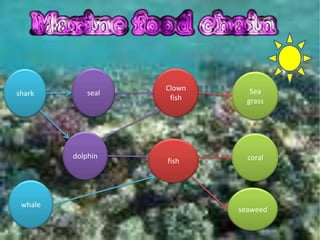 Clown      Sea
shark        seal
                     fish     grass




         dolphin              coral
                    fish




 whale
                            seaweed
 