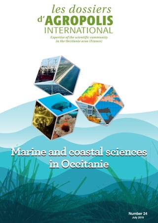 Marine and coastal sciences
in Occitanie
Marine and coastal sciences
in Occitanie
Number 24
July 2019
1000 avenue Agropoli...