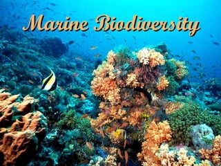 Marine Biodiversity 