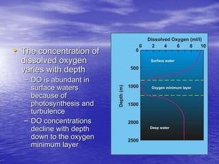 marine-ecosystems-bio.pptx