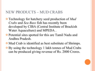 NEW PRODUCTS – MUD CRABS Technology for hatchery seed production of  Mud Crabs  and  Sea Bass  fish has recently been developed by CIBA (Central Institute of Brackish Water Aquaculture) and MPEDA . Potential sites spotted for this are Tamil Nadu and Andhra Pradesh. Mud Crab is identified as best substitute of Shrimps. By using the technology 1 lakh tonnes of Mud Crabs can be produced giving revenue of Rs. 2000 Crores. 