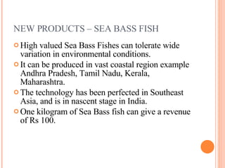 NEW PRODUCTS – SEA BASS FISH High valued Sea Bass Fishes can tolerate wide variation in environmental conditions. It can be produced in vast coastal region example Andhra Pradesh, Tamil Nadu, Kerala, Maharashtra. The technology has been perfected in Southeast Asia, and is in nascent stage in India. One kilogram of Sea Bass fish can give a revenue of Rs 100. 