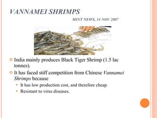 VANNAMEI SHRIMPS MINT NEWS, 14 NOV 2007 India mainly produces Black Tiger Shrimp (1.5 lac tonnes). It has faced stiff competition from Chinese  Vannamei Shrimps  because It has low production cost, and therefore cheap. Resistant to virus diseases.   