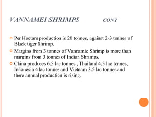 VANNAMEI SHRIMPS  CONT Per Hectare production is 20 tonnes, against 2-3 tonnes of Black tiger Shrimp. Margins from 3 tonnes of Vannamie Shrimp is more than margins from 3 tonnes of Indian Shrimps. China produces 6.5 lac tonnes , Thailand 4.5 lac tonnes, Indonesia 4 lac tonnes and Vietnam 3.5 lac tonnes and there annual production is rising. 