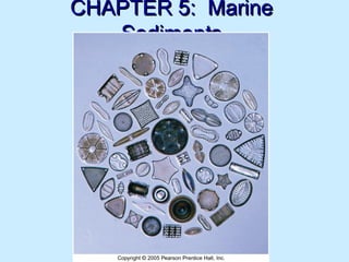 CHAPTER 5: MarineCHAPTER 5: Marine
SedimentsSediments
 