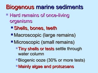 BiogenousBiogenous marine sedimentsmarine sediments
 Hard remains of once-livingHard remains of once-living
organismsorganisms
 Shells, bones, teethShells, bones, teeth
 Macroscopic (large remains)Macroscopic (large remains)
 Microscopic (small remains)Microscopic (small remains)
 Tiny shells or testsTiny shells or tests settle throughsettle through
water columnwater column
 Biogenic ooze (30% or more tests)Biogenic ooze (30% or more tests)
 Mainly algae and protozoansMainly algae and protozoans
 