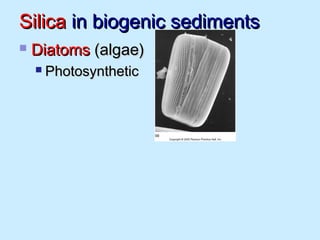 SilicaSilica in biogenic sedimentsin biogenic sediments
 DiatomsDiatoms (algae)(algae)
 PhotosyntheticPhotosynthetic
 