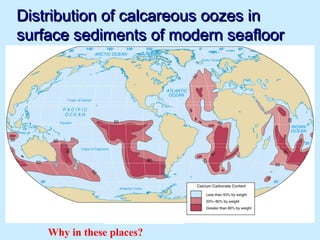 Distribution of calcareous oozes inDistribution of calcareous oozes in
surface sediments of modern seafloorsurface sediments of modern seafloor
Why in these places?
 