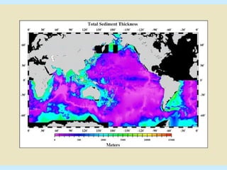 WHS Ocean -Marine Sed.