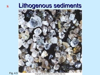 Lithogenous sedimentsLithogenous sediments
Fig. 4.5
S
 