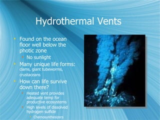 Marine 11 4-11 | PPT