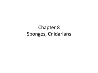 Chapter 8
Sponges, Cnidarians
 