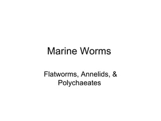 Marine Worms  Flatworms, Annelids, & Polychaeates  