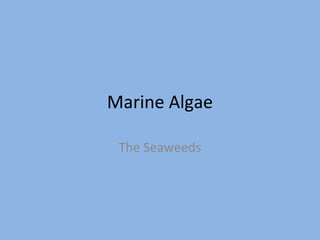 Marine Algae
The Seaweeds

 