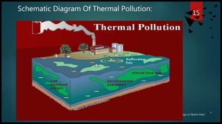 Marine and thermal pollution | PPTX