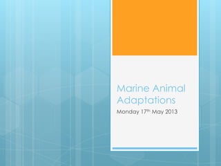 Marine Animal
Adaptations
Monday 17th May 2013
 