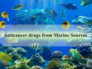 Anticancer drugs from Marine Sources
 