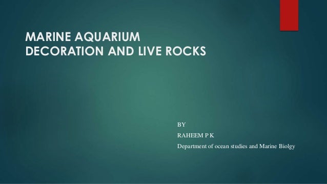 marine aquarium decoration and
