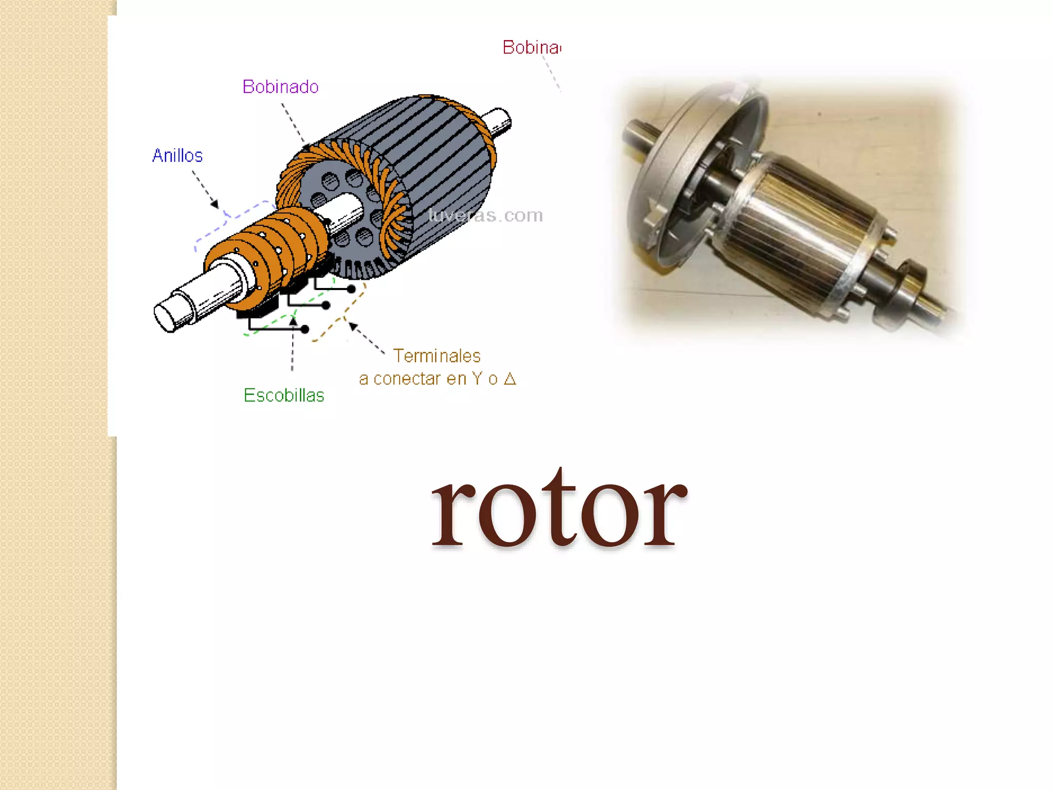 rotor
 