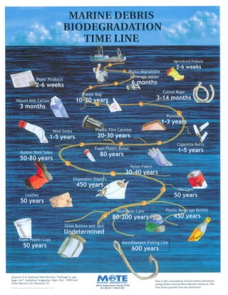 Marine biodegradation timeline