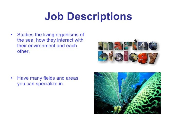 marine biologist description marine biologist marine biologist description marine biologist