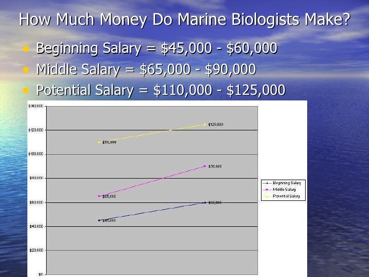Marine Income Chart