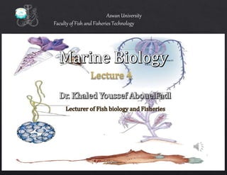 1
Aswan University
Faculty of Fish and Fisheries Technology
 
