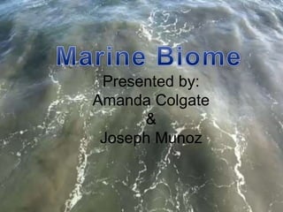 Presented by:
Amanda Colgate
&
Joseph Munoz
 
