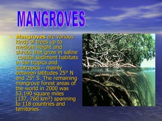 Mangroves  are various kinds of  trees  up to medium height and  shrubs  that grow in  saline  coastal sediment habitats in the  tropics  and  subtropics  – mainly between  latitudes  25° N and 25° S. The remaining mangrove forest areas of the world in 2000 was 53,190 square miles (137, 760 km²) spanning to 118 countries and territories   MANGROVES 