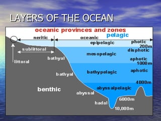 LAYERS OF THE OCEAN 