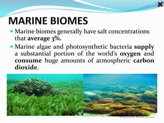 MARINE BIOMES Marine biomes generally have salt concentrations that average 3%. Marine algae and photosynthetic bacteria supply a substantial portion of the world’s oxygen and consume huge amounts of atmospheric carbon dioxide. 