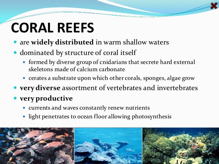 Marine biomes