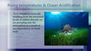 Pollution
All sorts of human-generated
pollutants are degrading the
marine environment,
including those discharged
from fa...