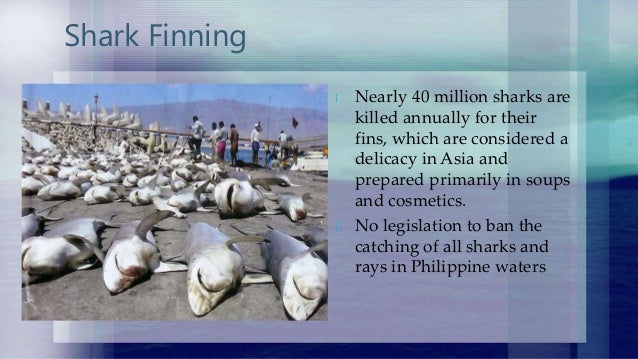 Sea of Change: Your Role in Marine Conservation