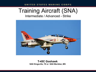 Training Aircraft (SNA)
Intermediate / Advanced - Strike
T-45C Goshawk
NAS Kingsville, TX or NAS Meridian, MS
 