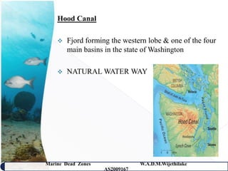 Hood Canal

       Fjord forming the western lobe & one of the four
        main basins in the state of Washington

       NATURAL WATER WAY




Marine Dead Zones               W.A.D.M.Wijethilake   11
                    AS2009167
 