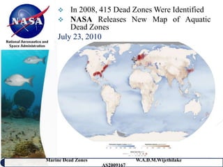    In 2008, 415 Dead Zones Were Identified
     NASA Releases New Map of Aquatic
        Dead Zones
    July 23, 2010




Marine Dead Zones               W.A.D.M.Wijethilake   13
                    AS2009167
 