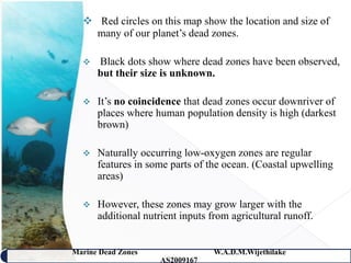  Red circles on this map show the location and size of
    many of our planet’s dead zones.

     Black dots show where dead zones have been observed,
      but their size is unknown.

     It’s no coincidence that dead zones occur downriver of
      places where human population density is high (darkest
      brown)

     Naturally occurring low-oxygen zones are regular
      features in some parts of the ocean. (Coastal upwelling
      areas)

     However, these zones may grow larger with the
      additional nutrient inputs from agricultural runoff.


Marine Dead Zones                 W.A.D.M.Wijethilake   14
                     AS2009167
 