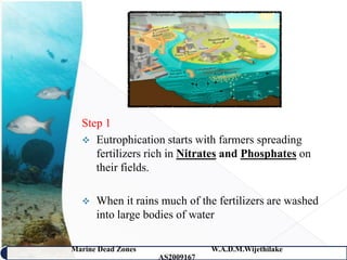 Step 1
   Eutrophication starts with farmers spreading
     fertilizers rich in Nitrates and Phosphates on
     their fields.

     When it rains much of the fertilizers are washed
      into large bodies of water

Marine Dead Zones               W.A.D.M.Wijethilake   17
                    AS2009167
 