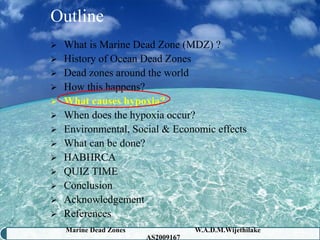 Outline
 What is Marine Dead Zone (MDZ) ?
 History of Ocean Dead Zones
 Dead zones around the world
 How this happens?
 What causes hypoxia?
 When does the hypoxia occur?
 Environmental, Social & Economic effects
 What can be done?
 HABHRCA
 QUIZ TIME
 Conclusion
 Acknowledgement
 References
    Marine Dead Zones               W.A.D.M.Wijethilake   22
                        AS2009167
 