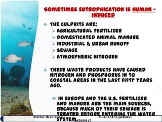 Sometimes Eutrophication is human –
                  induced
       The culprits are:
          Agricultural fertilizer
          Domesticated animal manure
          Industrial & urban runoff
          Sewage
          Atmospheric nitrogen

       These waste products have caused
        nitrogen and phosphorus in to
        coastal areas in the last fifty years
        ago.

         In Europe and the U.S. fertilizer
             and manure are the main sources,
             because much of their sewage is
             treated before entering the water
Marine Dead Zones            W.A.D.M.Wijethilake
             system.
                   AS2009167
                                                 26
 