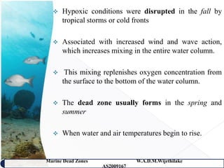    Hypoxic conditions were disrupted in the fall by
      tropical storms or cold fronts

     Associated with increased wind and wave action,
      which increases mixing in the entire water column.

      This mixing replenishes oxygen concentration from
      the surface to the bottom of the water column.

     The dead zone usually forms in the spring and
      summer

     When water and air temperatures begin to rise.


Marine Dead Zones               W.A.D.M.Wijethilake   30
                    AS2009167
 