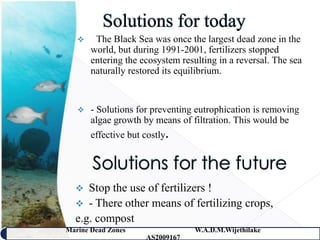    - The Black Sea was once the largest dead zone in the
       world, but during 1991-2001, fertilizers stopped
       entering the ecosystem resulting in a reversal. The sea
       naturally restored its equilibrium.


      - Solutions for preventing eutrophication is removing
       algae growth by means of filtration. This would be
       effective but costly.




    Stop the use of fertilizers !
   - There other means of fertilizing crops,
  e.g. compost
Marine Dead Zones                 W.A.D.M.Wijethilake   37
                     AS2009167
 