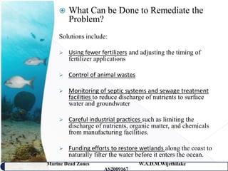    What Can be Done to Remediate the
        Problem?
    Solutions include:

       Using fewer fertilizers and adjusting the timing of
        fertilizer applications

       Control of animal wastes

       Monitoring of septic systems and sewage treatment
        facilities to reduce discharge of nutrients to surface
        water and groundwater

       Careful industrial practices such as limiting the
        discharge of nutrients, organic matter, and chemicals
        from manufacturing facilities.

       Funding efforts to restore wetlands along the coast to
        naturally filter the water before it enters the ocean.
Marine Dead Zones                  W.A.D.M.Wijethilake   38
                     AS2009167
 