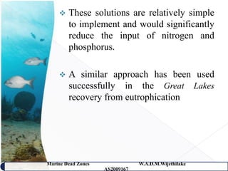    These solutions are relatively simple
        to implement and would significantly
        reduce the input of nitrogen and
        phosphorus.

       A similar approach has been used
        successfully in the Great Lakes
        recovery from eutrophication.




Marine Dead Zones               W.A.D.M.Wijethilake   39
                    AS2009167
 