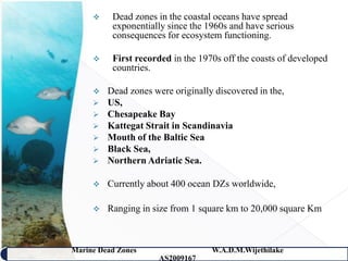     Dead zones in the coastal oceans have spread
          exponentially since the 1960s and have serious
          consequences for ecosystem functioning.

         First recorded in the 1970s off the coasts of developed
          countries.

        Dead zones were originally discovered in the,
        US,
        Chesapeake Bay
        Kattegat Strait in Scandinavia
        Mouth of the Baltic Sea
        Black Sea,
        Northern Adriatic Sea.

        Currently about 400 ocean DZs worldwide,

        Ranging in size from 1 square km to 20,000 square Km.



Marine Dead Zones                  W.A.D.M.Wijethilake     8
                      AS2009167
 